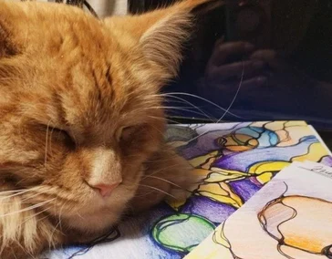 Курс "Пользователь НейроГрафики"