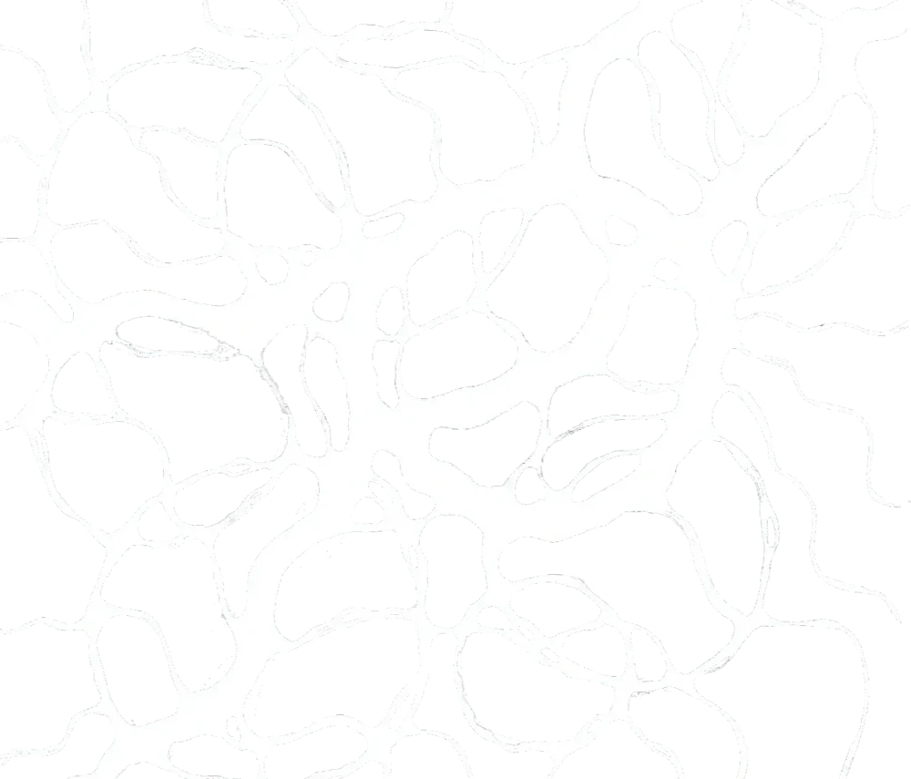 НейроГрафика